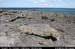 aranmooltiabay1