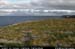 arannalheahead07