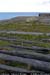 arannalheaheadcliffedge03