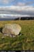 arannalheaheadgranitrock03