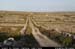 aranoghillcentralpath03