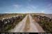aranoghillcentralpath21