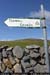 aranteampallchiarainsign1
