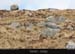 connemara_02