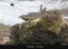 connemara_23