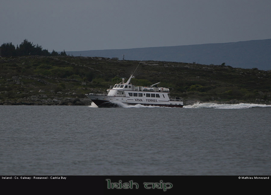 cashlabayboat5