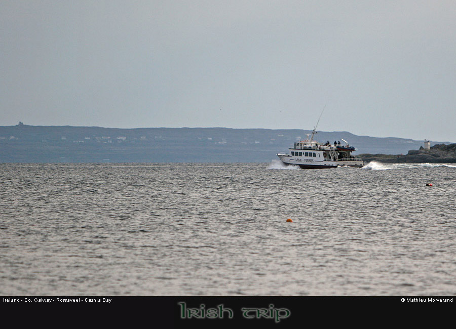 cashlabayboat7