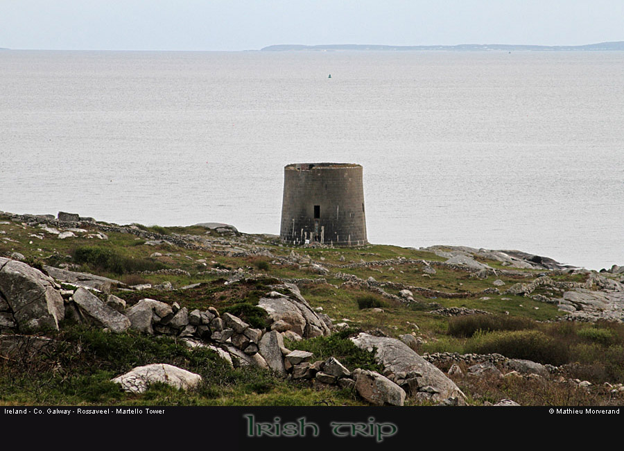 rossaveelmartellotowerfromnne4