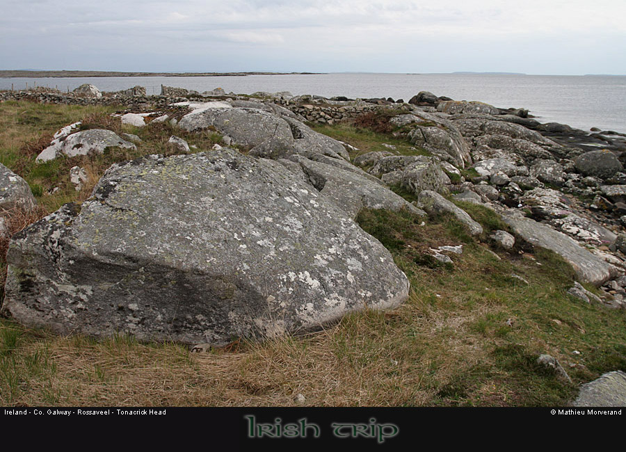 tonacrickhead02