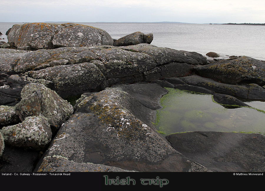 tonacrickhead04