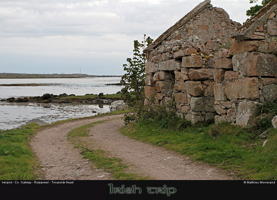 tonacrickheadway1