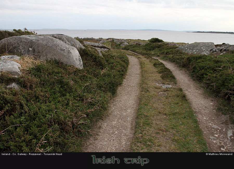 tonacrickheadway3