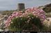 rossaveelmartellotowerfromsse6