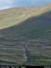 connorpass_03