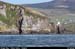 dinglebay_09