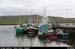 dingleharbour_01