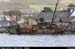 dingleharbour_02