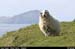 sleahead_10
