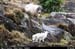 gapofdunloe_02