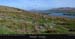 brayhead_06