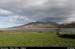 benoskee_02