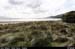inchstrand_02