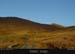 achillhead_16