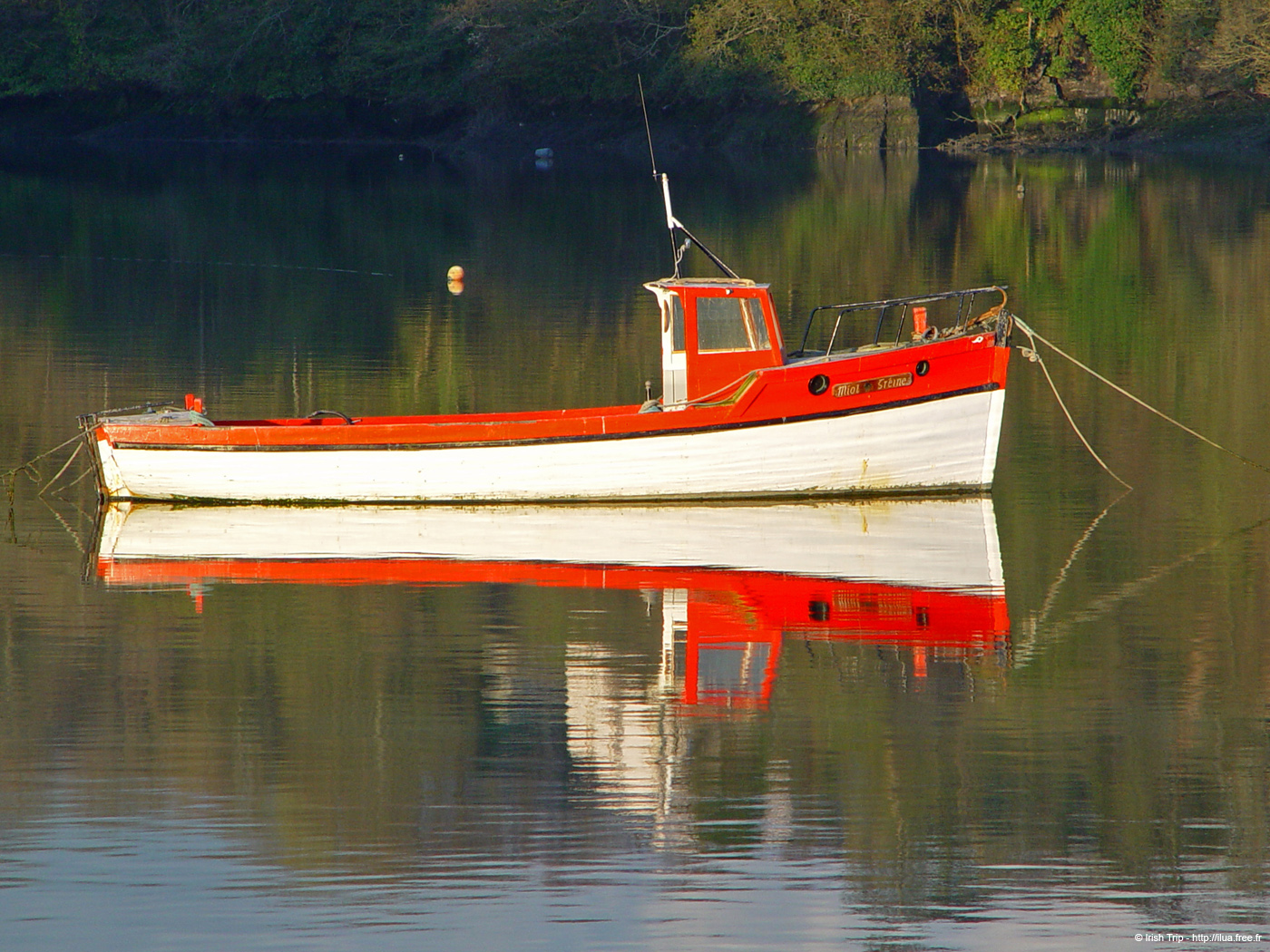 20050415_kinsale_03