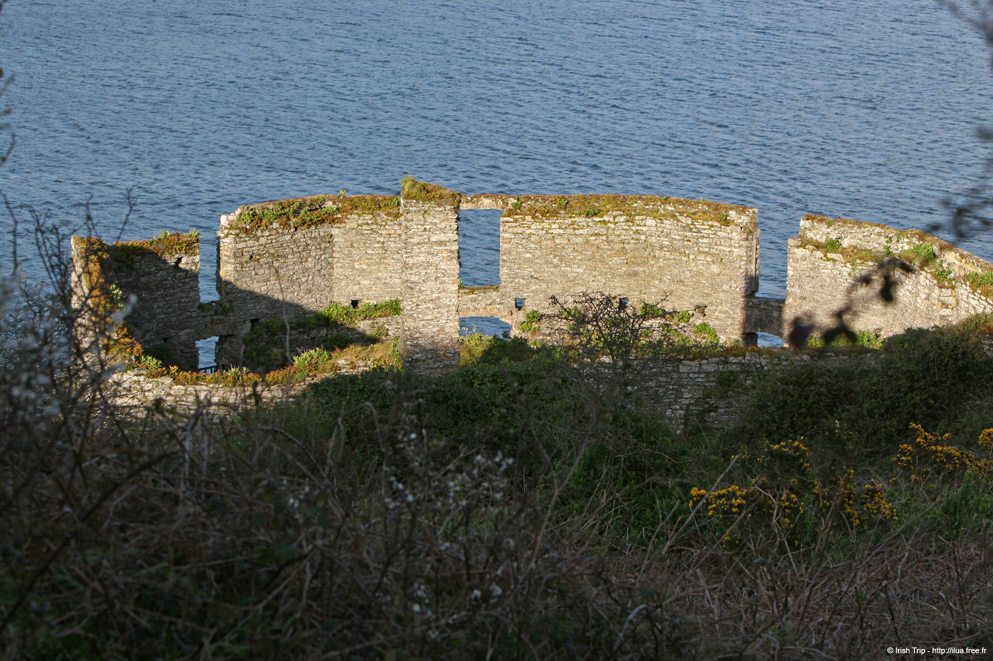 20050415_kinsale_06