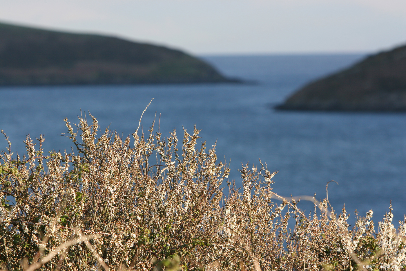 20050415_kinsale_09