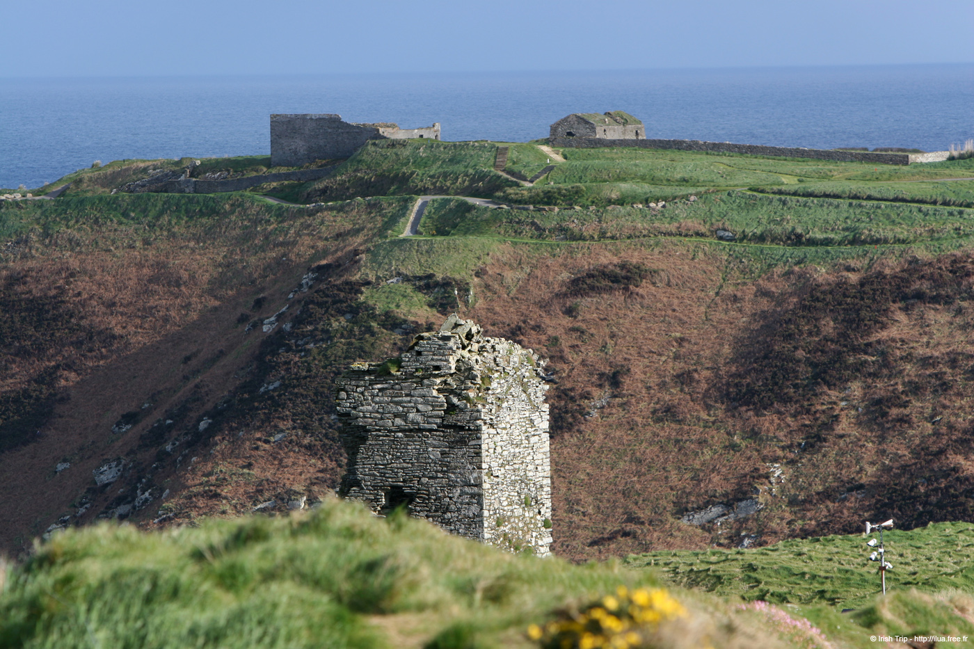 20050415_oldhead_01