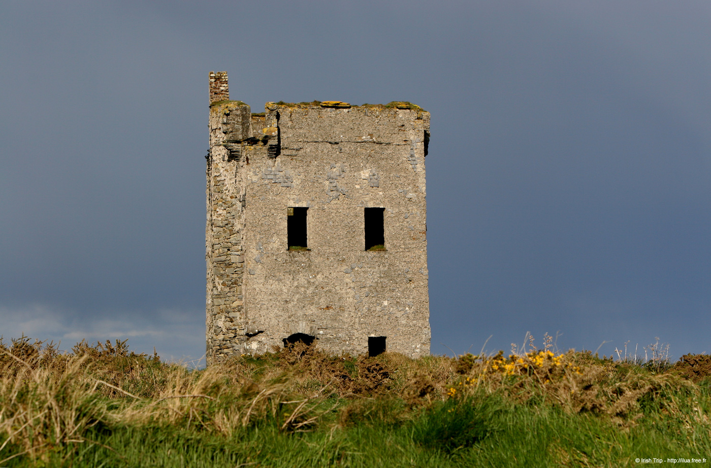 20050415_oldhead_02