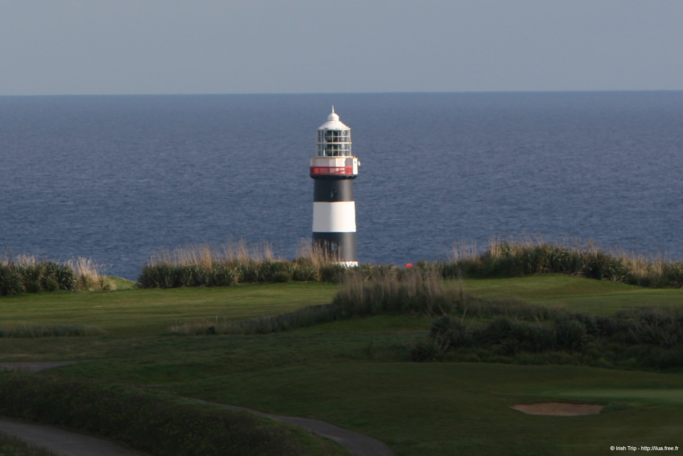 20050415_oldhead_03