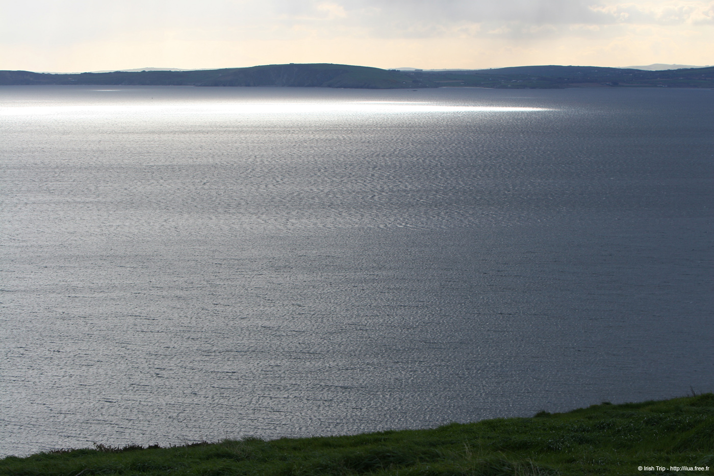 20050415_oldhead_04