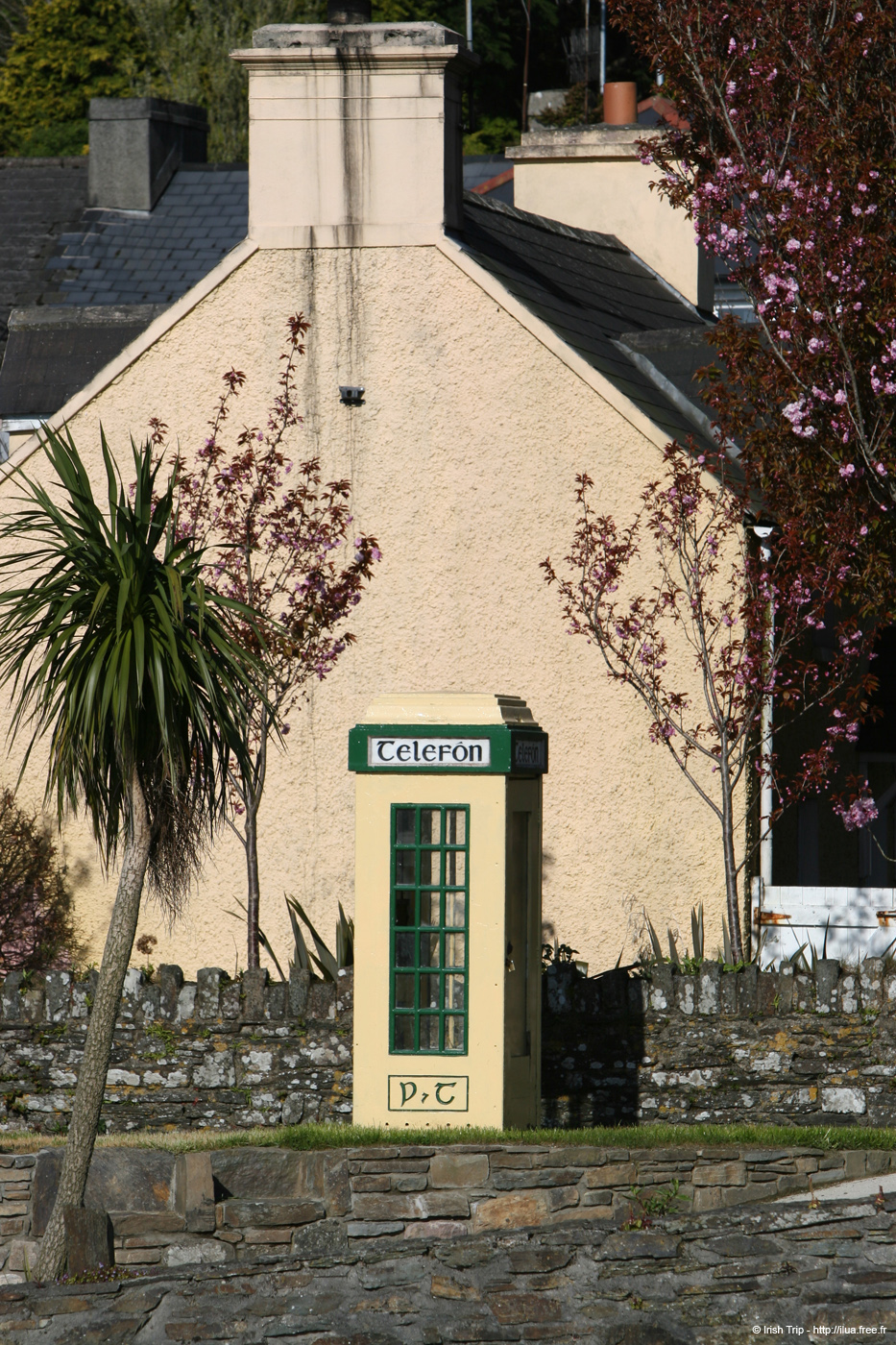 20050416_01timoleague_03