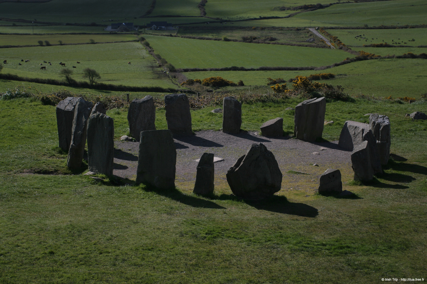 20050416_02drombergstone