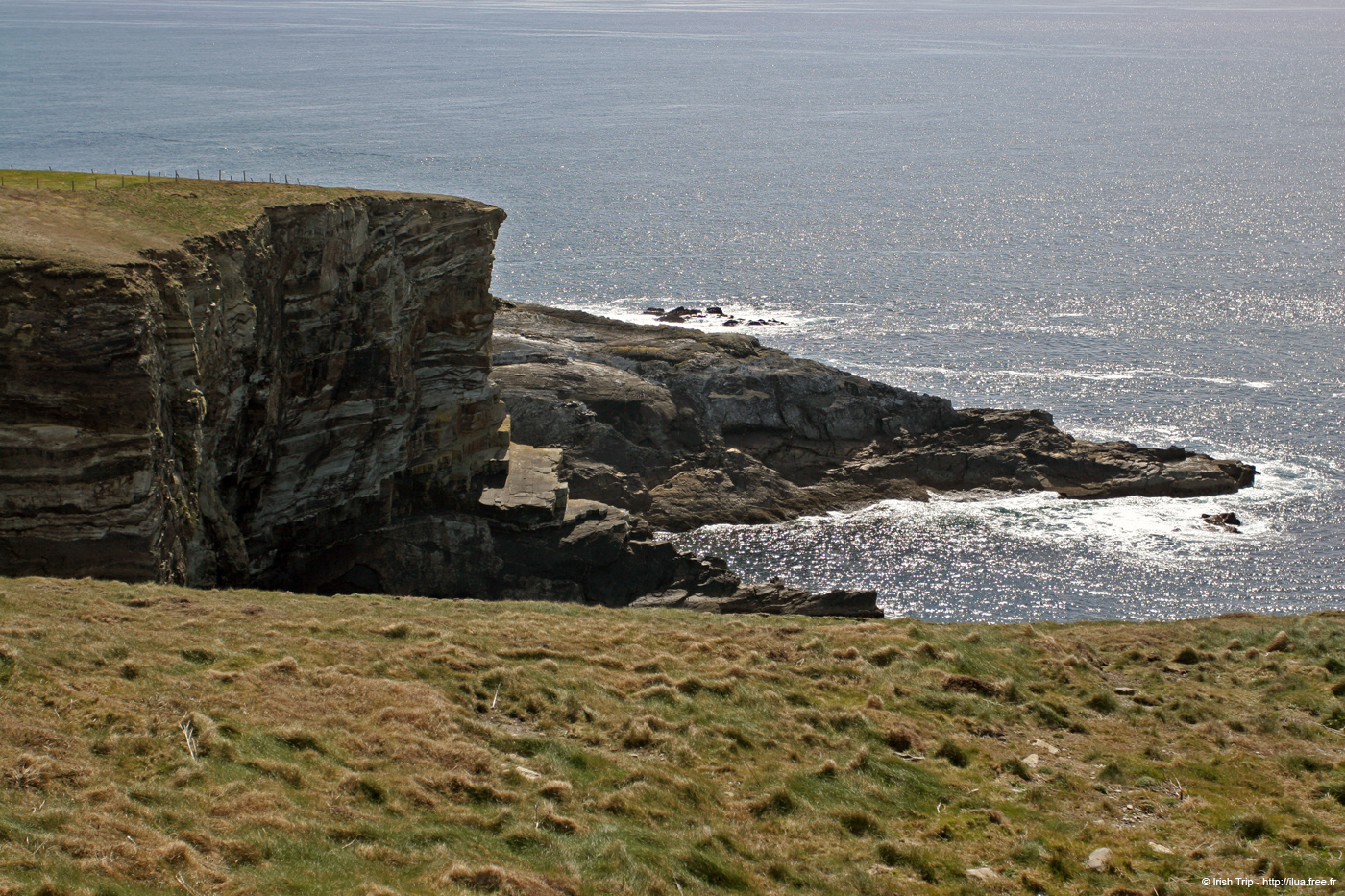 20050416_mizenhead_01