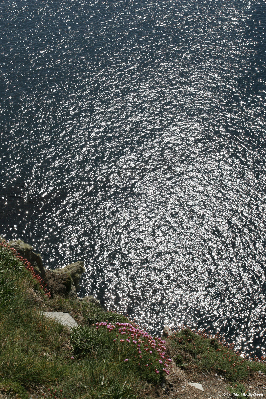 20050416_mizenhead_03