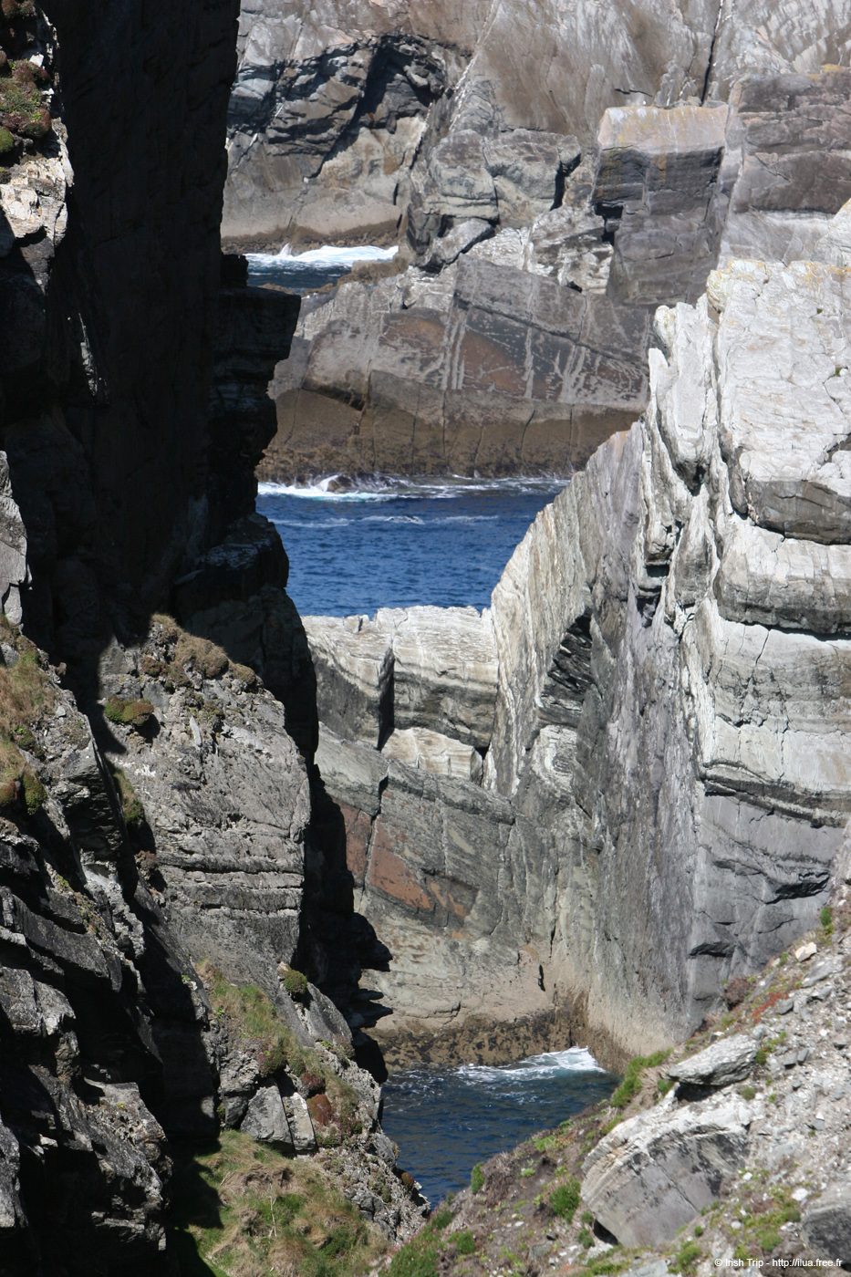 20050416_mizenhead_07