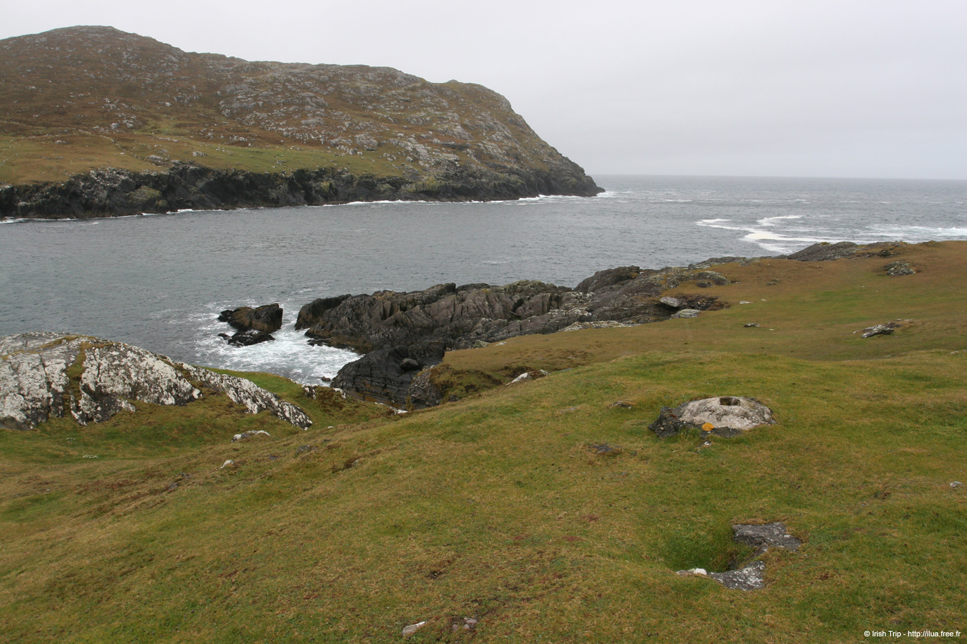 20050417_11bearahead_04