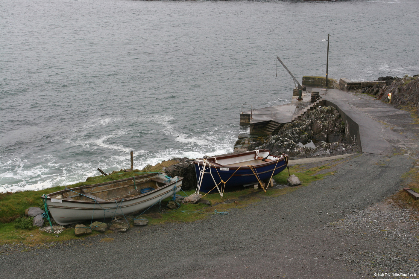 20050417_11bearahead_06