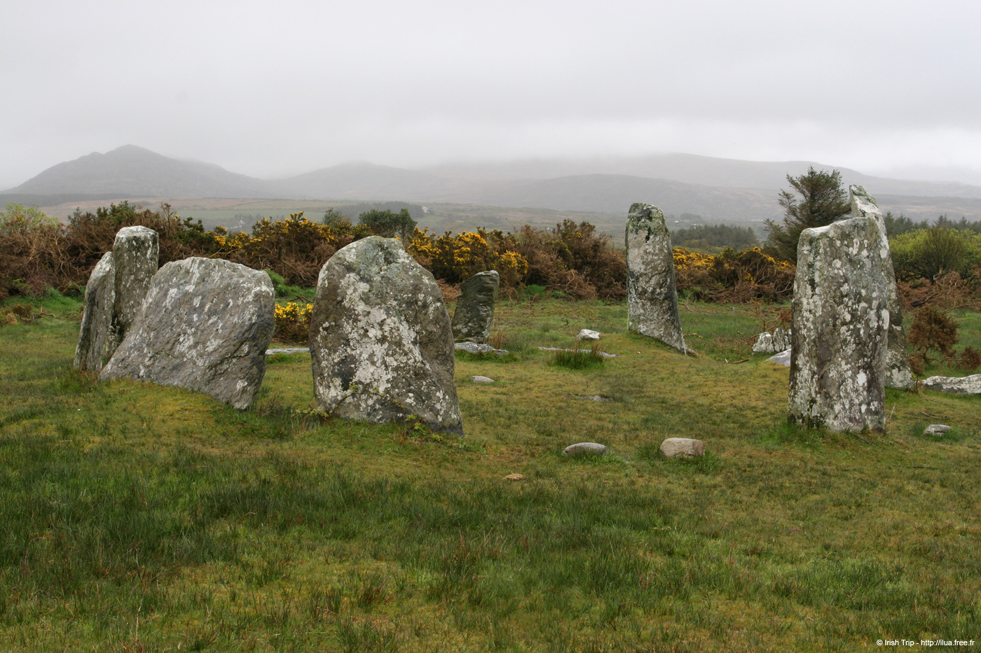 20050417_12stonecircle_01