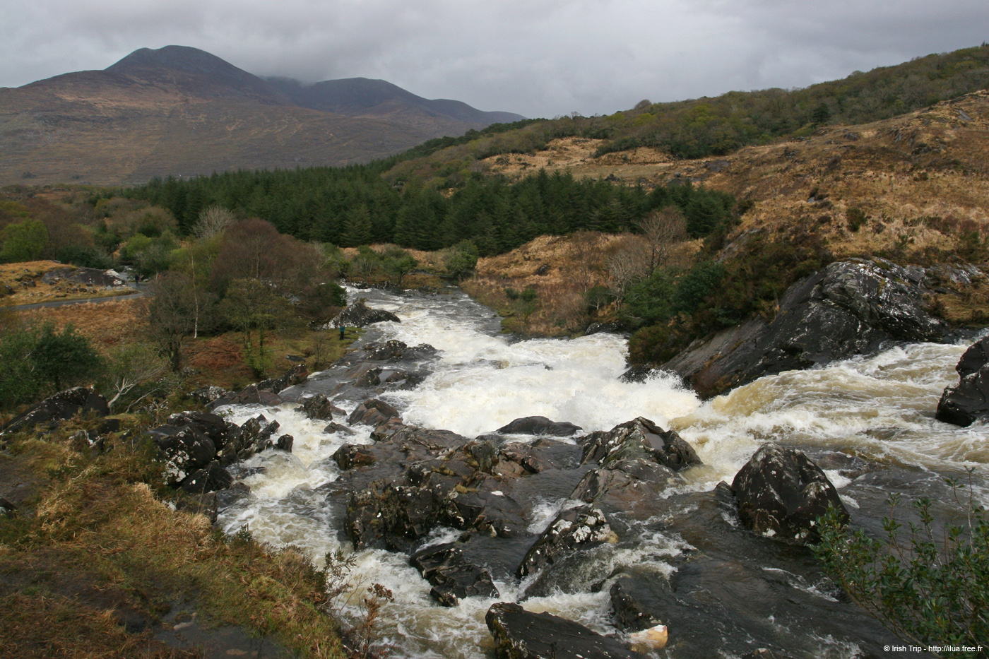 20050417_bearhameenriver_01