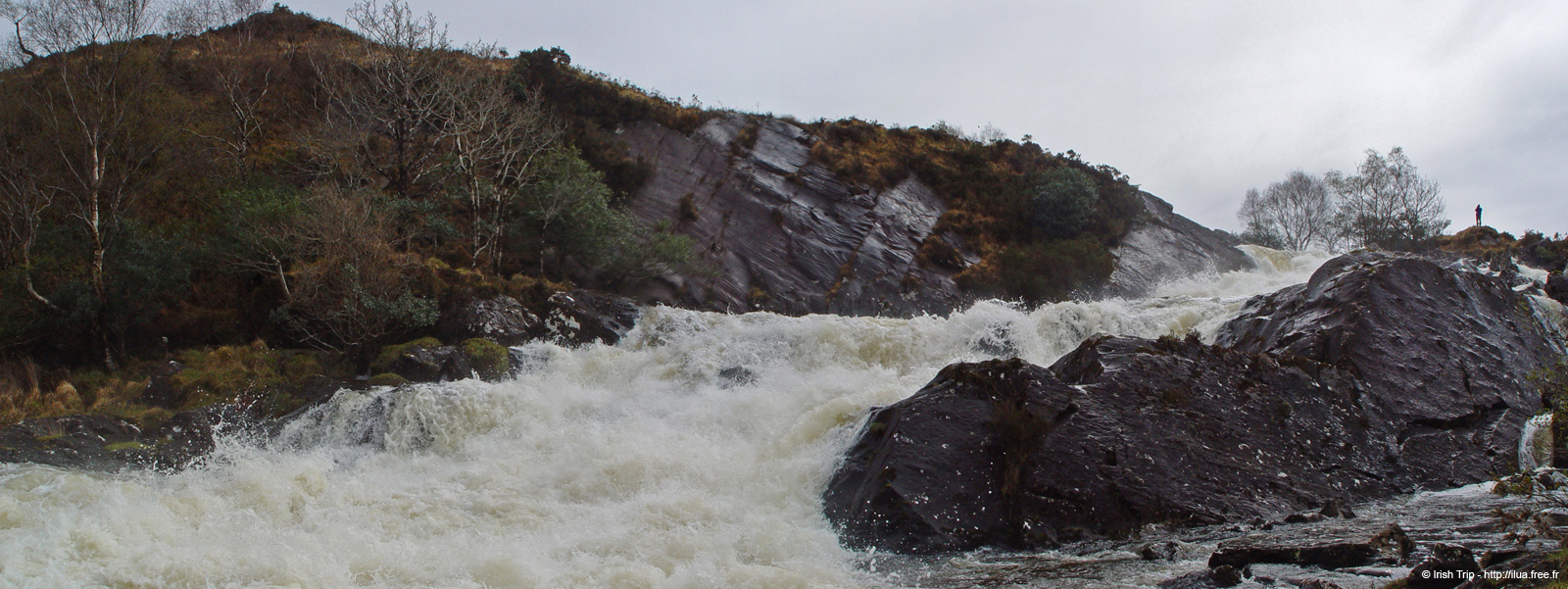 20050417_bearhameenriver_02