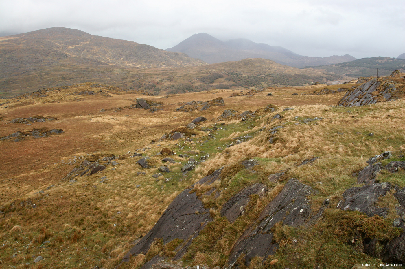 20050417_blackvalley_01