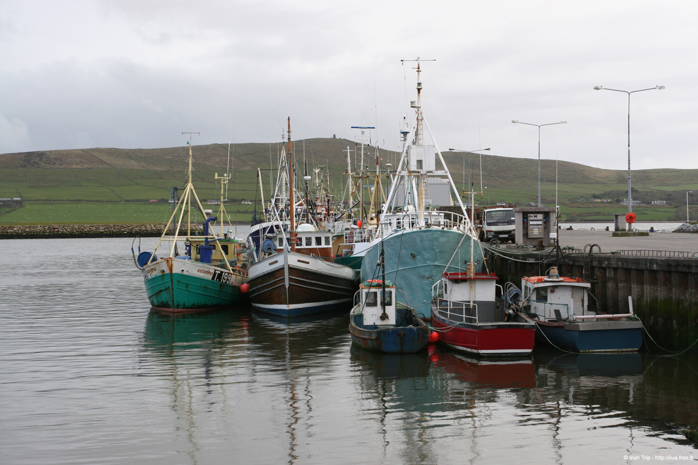 20050417_dingleharbour_01