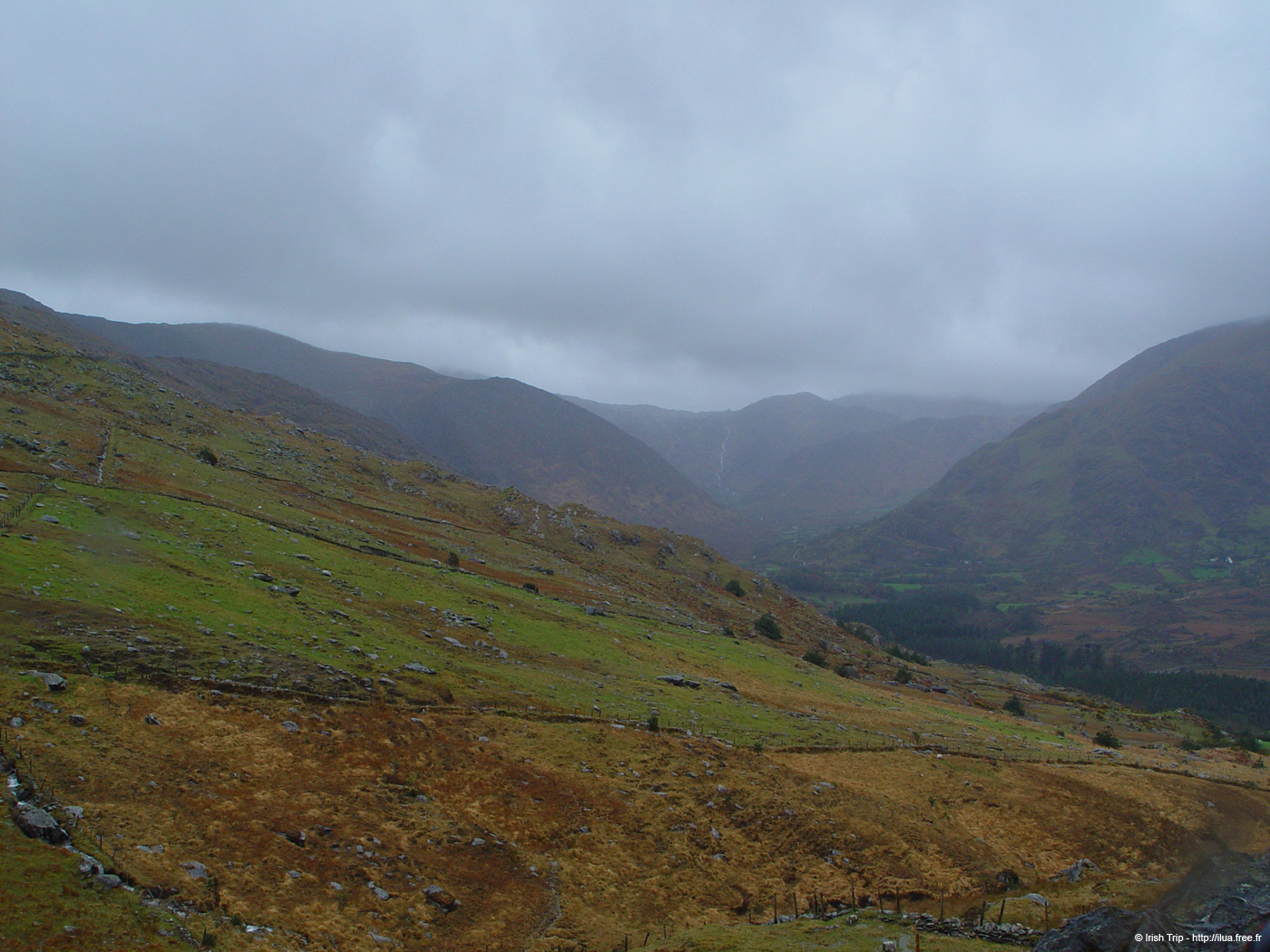 20050417_healypass_01