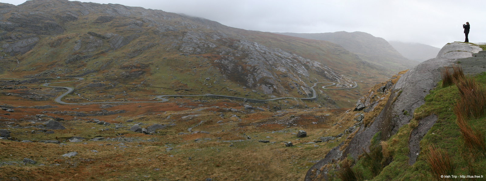 20050417_healypass_03