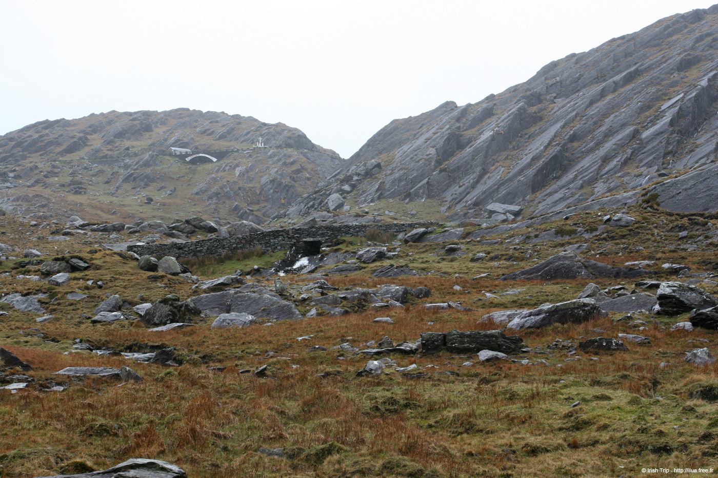 20050417_healypass_06