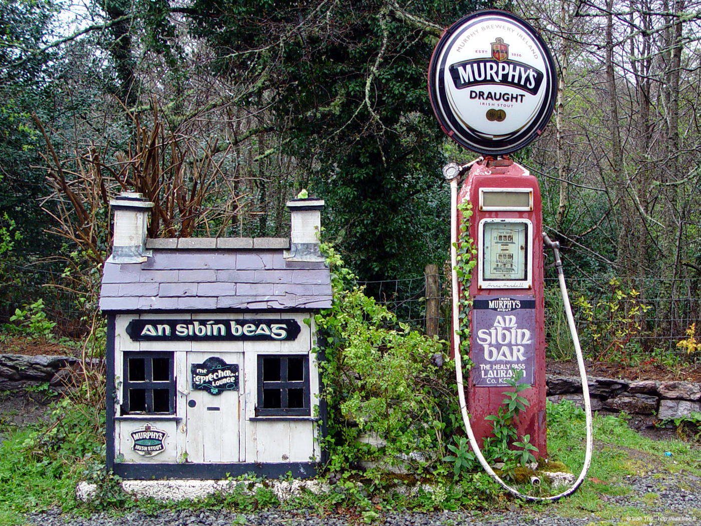 20050417_healypass_09